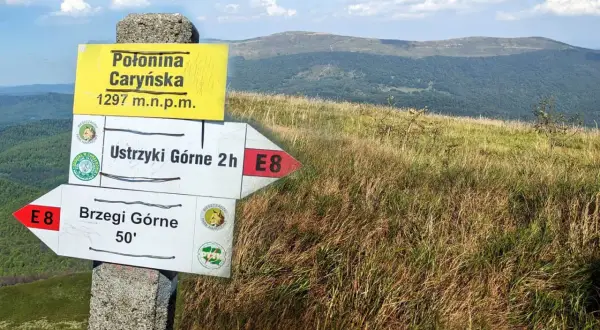 Znaki szlaku na Połoninie Caryńskiej. Trasa do Ustrzyk Górnych 2h, do Brzegów Górnych 50'.