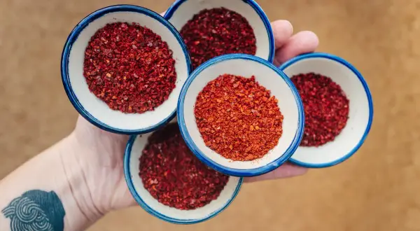 Cztery małe miseczki z gochugaru, koreańską papryką chili. To właśnie gochugaru co to za przyprawa, która nadaje potrawom pikantności i koloru.