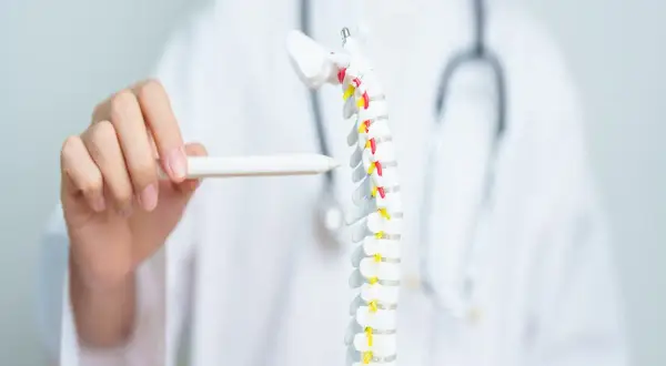 Medico indica modello colonna vertebrale, evidenziando possibile frattura vertebra D12.