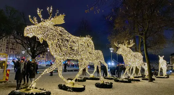 Julaktiviteter Stockholm: Ljusdekorerade älgar lyser upp en snöig kväll.