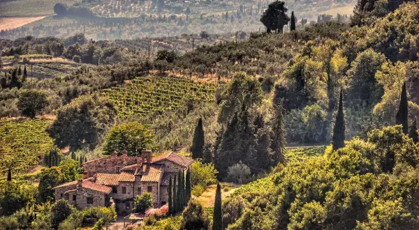 Un casale in pietra tra vigneti e uliveti, un sogno di cosa fare in Toscana.