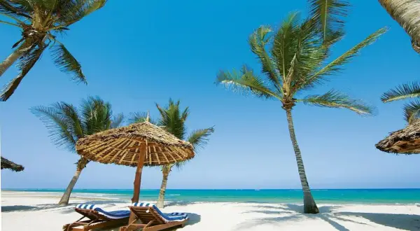 Plaża z palmami, leżakami i parasolem pod błękitnym niebem.