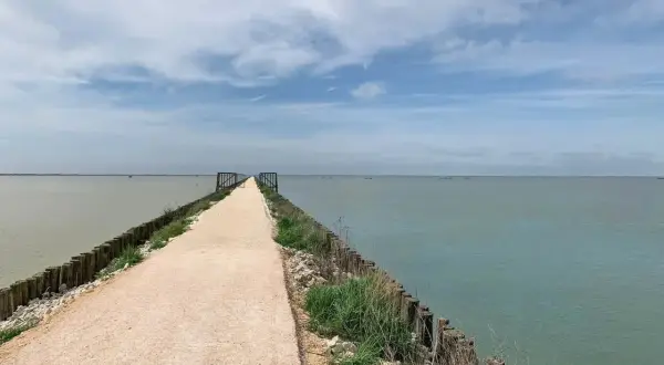 Lungo la pista ciclabile del Lido di Spina, un sentiero si estende verso l'orizzonte, circondato da acque calme e un cielo nuvoloso.