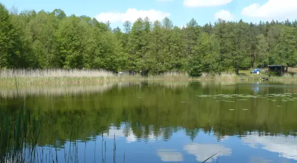 Jezioro Tuczno Kujawsko Pomorskie – raj dla miłośników przyrody