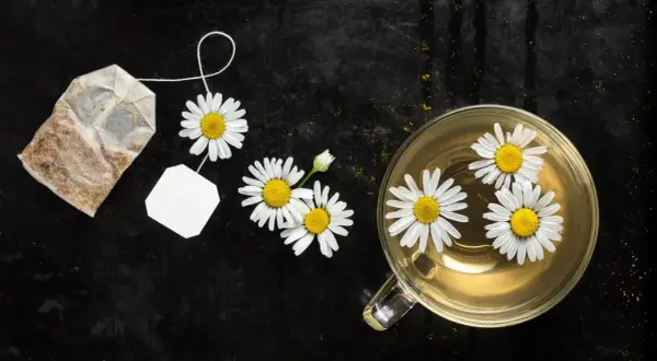 Kamillentee mit frischen Blüten und Teebeutel. Ein natürliches Hausmittel, um die Verdauung schnell anzuregen.