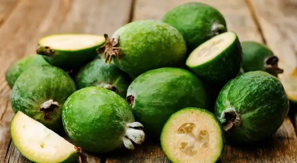 Feijoa, un frutto verde e succoso, pronto per essere gustato. Ci si chiede: feijoa dopo quanti anni fruttifica?