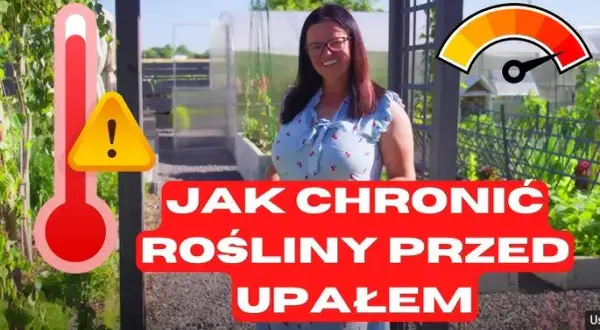 Jak chronić ogród przed erozją? Poznaj sprawdzone sposoby!
