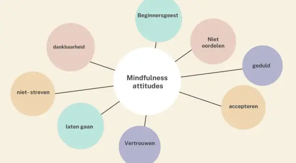 Mindfulness attitudes: dankbaarheid, beginnersgeest, niet oordelen, geduld, accepteren, vertrouwen, laten gaan, niet streven. Compassie als sleutel tot geluk.