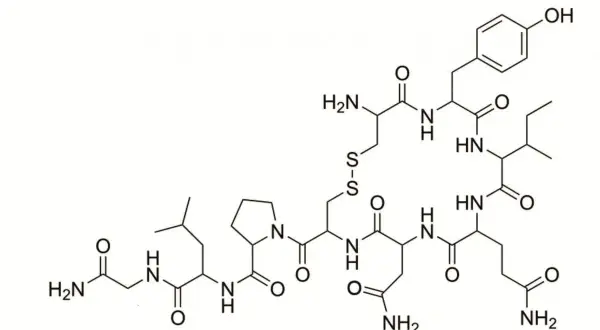Struktura chemiczna oksytocyny, hormonu ważnego dla więzi społecznych i u mężczyzn.