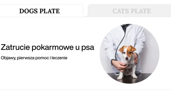 Weterynarz bada psa, który może mieć pierwsze objawy zatrucia pokarmowego.