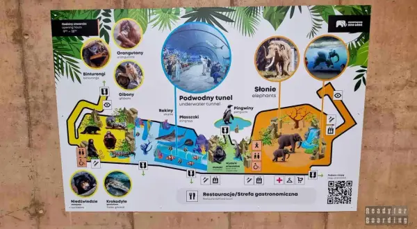 Mapa zoo koło Łodzi: zobacz orangutany, słonie, gibony, niedźwiedzie, krokodyle, pingwiny, rekiny, płaszczki i podwodny tunel.