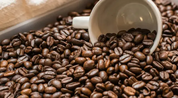 Chicchi di caffè tostati, con una tazzina bianca rovesciata in mezzo. Un'immagine che evoca il piacere del caffè senza caffeina.