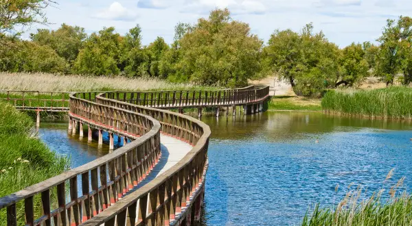 Pasarela de madera serpenteante sobre un lago, ideal para descubrir cosas que hacer cerca de Madrid y disfrutar de la naturaleza.