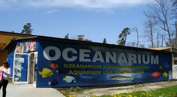 Oceanarium Mielno: Czy to miejsce już nie działa i co dalej?