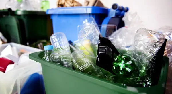 BM Recykling - Jak skutecznie przetwarzać odpady i poprawić glebę