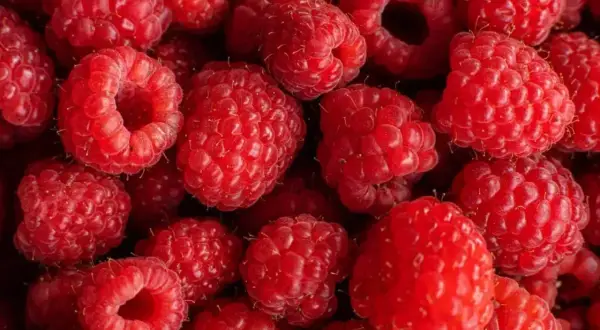 Mnóstwo soczystych malin, idealnych do zrobienia domowego soku. Zastanawiasz się, ile cukru na litr soku z malin dodać, by był pyszny?