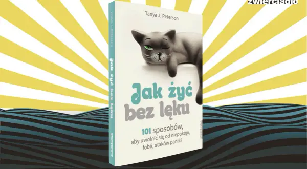 Jak żyć bez lęku? Sprawdzone metody na odzyskanie spokoju
