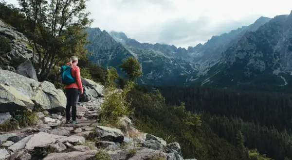 Frau mit Rucksack genießt die Aussicht beim Tatra Gebirge Wandern. Steiler Pfad, Felsen und Nadelwald.