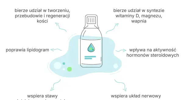 Bor pomaga w tworzeniu kości, syntezie witaminy D, wspiera stawy i układ nerwowy.