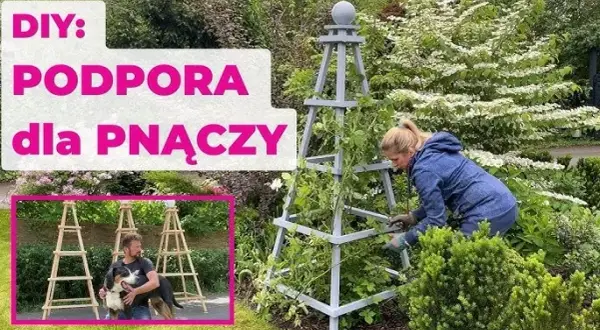 Jak zrobić pergolę na róże, aby pięknie kwitły przez lata