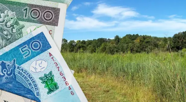 Polskie banknoty 50 i 100 zł na tle zielonej łąki i lasu. Zastanawiasz się, ile kosztuje 1 ha łąki?