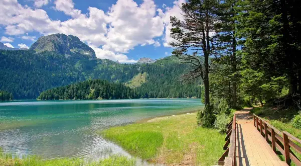 Ein Holzsteg führt durch den Wald am Ufer eines türkisfarbenen Sees im Durmitor Nationalpark. Berge und grüne Wälder im Hintergrund.
