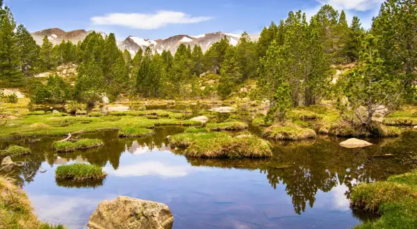 Un étang paisible reflète les pins et les montagnes enneigées, un aperçu des plus beaux endroits des Pyrénées-Orientales.