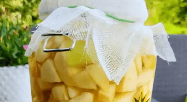 Domowy ocet jabłkowy jak pić? W słoiku jabłka w zalewie, gotowe do fermentacji.