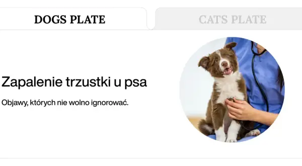 Uroczy szczeniak z brązową sierścią podczas badania weterynaryjnego. Temat: zapalenie trzustki u psa, które może wpływać na lipazę.