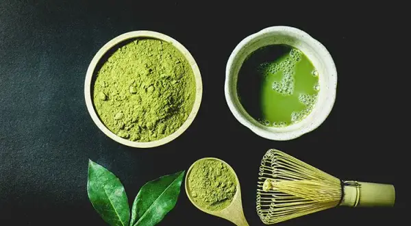 Matcha z czego? Odkryj sekrety jej wyjątkowych składników