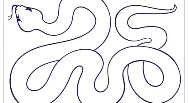 Serpiente para colorear, ideal para actividades de dibujo para niños. ¡Deja volar la imaginación y crea una serpiente multicolor!