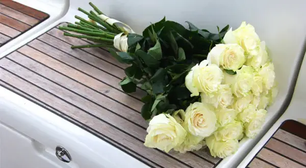 Co oznacza biała róża na pogrzebie? Symbolika, która porusza serce