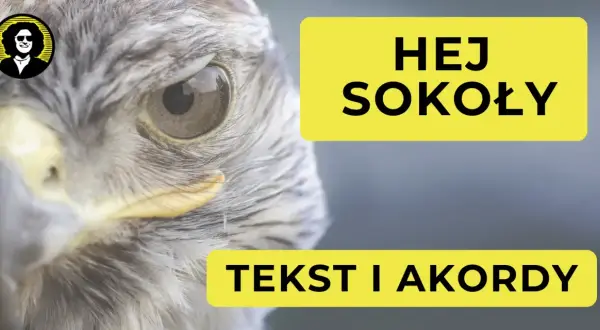 Zbliżenie na oko sokoła, obok żółty napis "HEJ SOKOŁY TEKST I AKORDY".