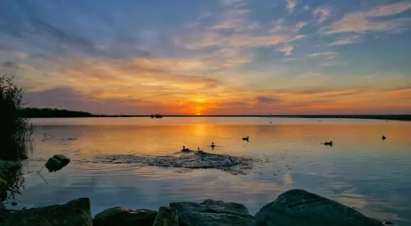 Atardecer en la laguna de Puerto Rey. Patos nadan en aguas tranquilas reflejando el cielo anaranjado.