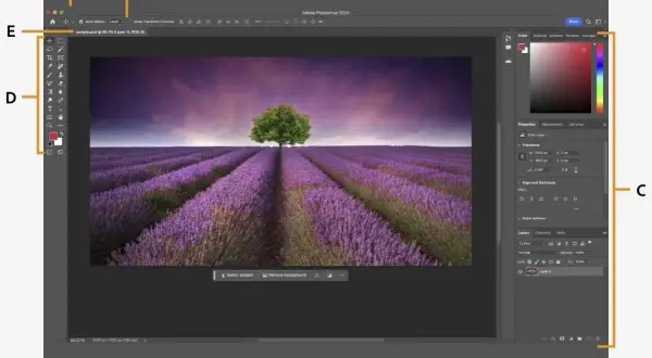 Ile waży Photoshop? Sprawdź wymagania dyskowe programu