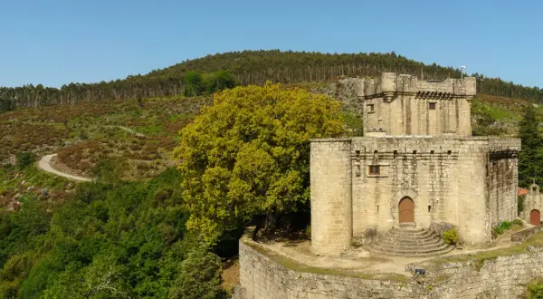 El Castelo de Sobroso, una fortaleza de piedra, se alza majestuoso entre colinas verdes y un gran árbol frondoso.