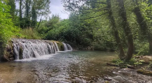 Le cascatelle di Cingoli, un angolo di paradiso verde con acqua cristallina e alberi secolari che creano un'atmosfera magica.