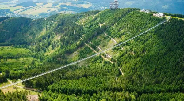 Długi, wąski sky bridge przecina gęsty, zielony las na zboczu góry. Na szczycie widać wieżę widokową.
