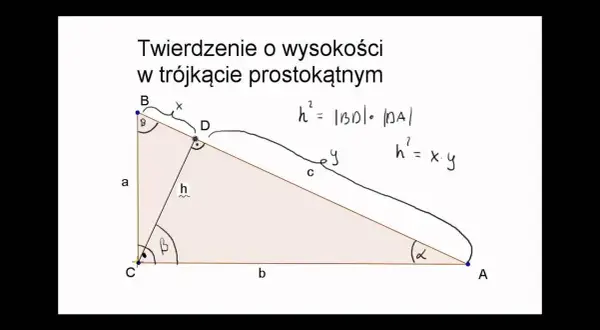 Wysokość trójkąta: opanuj wzory i metody dla każdego typu