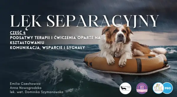Jak szkolić szczeniaka? Przewodnik, by uniknąć chaosu i zbudować więź