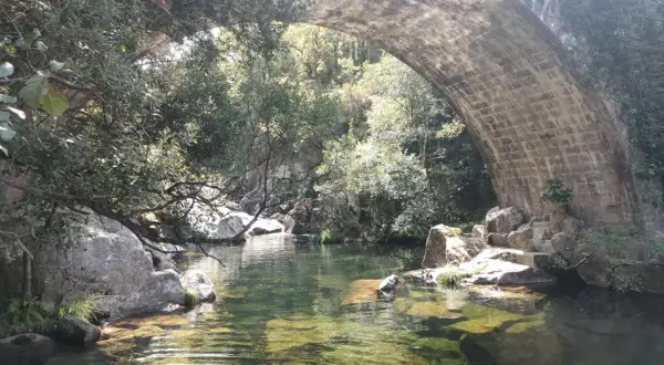 Agua cristalina bajo un puente de piedra en la playa fluvial Maceira, rodeada de vegetación exuberante y rocas.