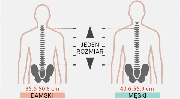 Ilustracja pokazuje, jak dobrać plecak do wzrostu, porównując wymiary tułowia damskiego (35.6-50.8 cm) i męskiego (40.6-55.9 cm).