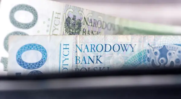 Polskie banknoty, symbolizujące zarobki, w tym ile zarabia prokurator.
