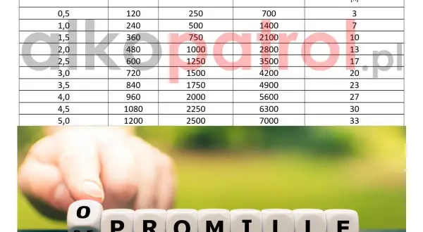 Ile promili po alkoholu? Sprawdź limity i kary w Polsce