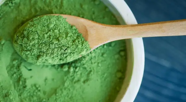 Zielony proszek na drewnianej łyżce, w misce. To spirulina – co to jest? Superfood pełen wartości.