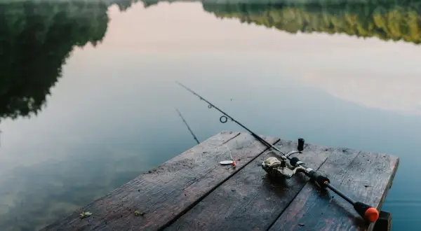 Jaką wędkę teleskopową na spławik wybrać, aby nie żałować?