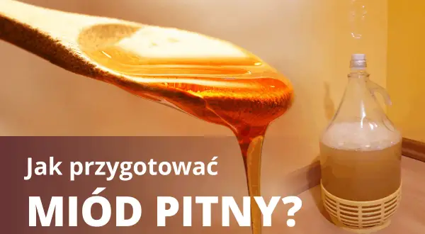 Gęsta, złocista brzeczka miodowa spływa z łyżki. Obok fermentuje w balonie.