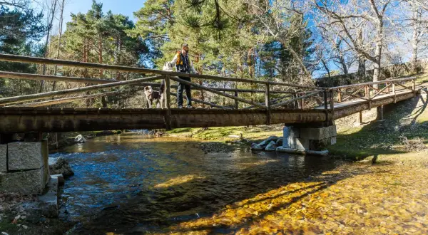 Hombre y perro cruzan un puente de madera sobre un río cristalino. El sol ilumina el lecho pedregoso, como si fuera la boca del asno.