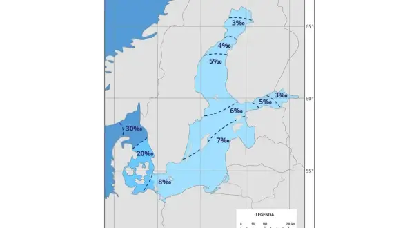 Mapa Bałtyku z zaznaczonymi izobatami i wartościami zasolenia.