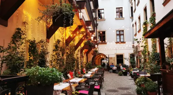 Wrocław: Gdzie zjeść? Najlepsze restauracje na każdą okazję.